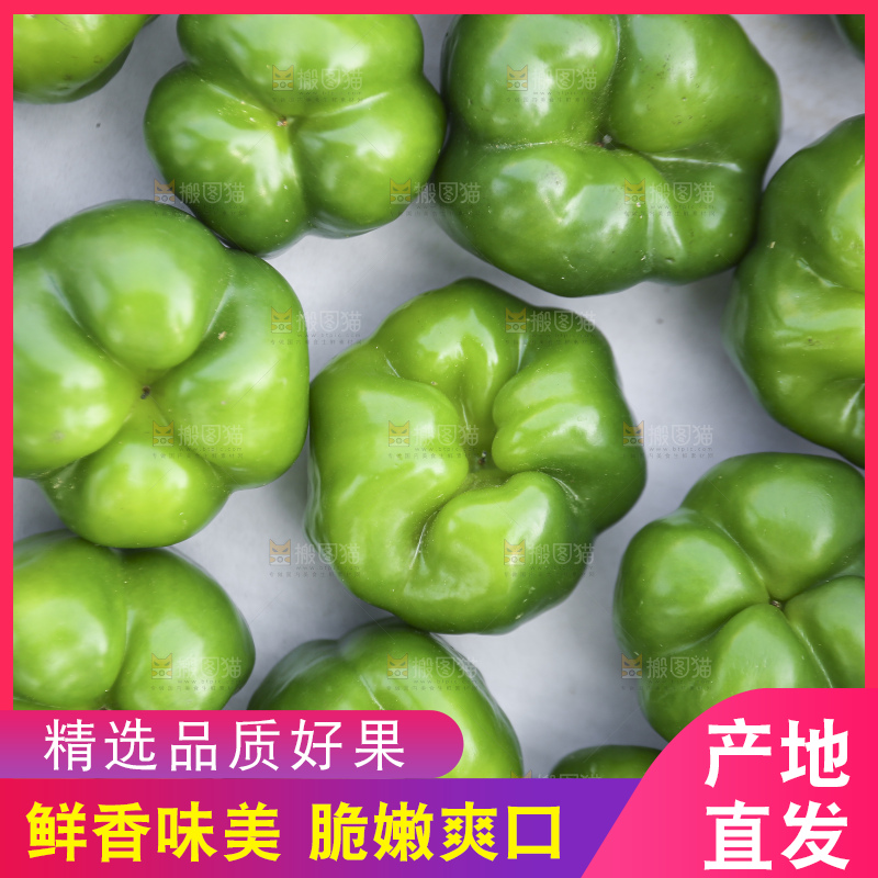 手里拿着新鲜青圆椒