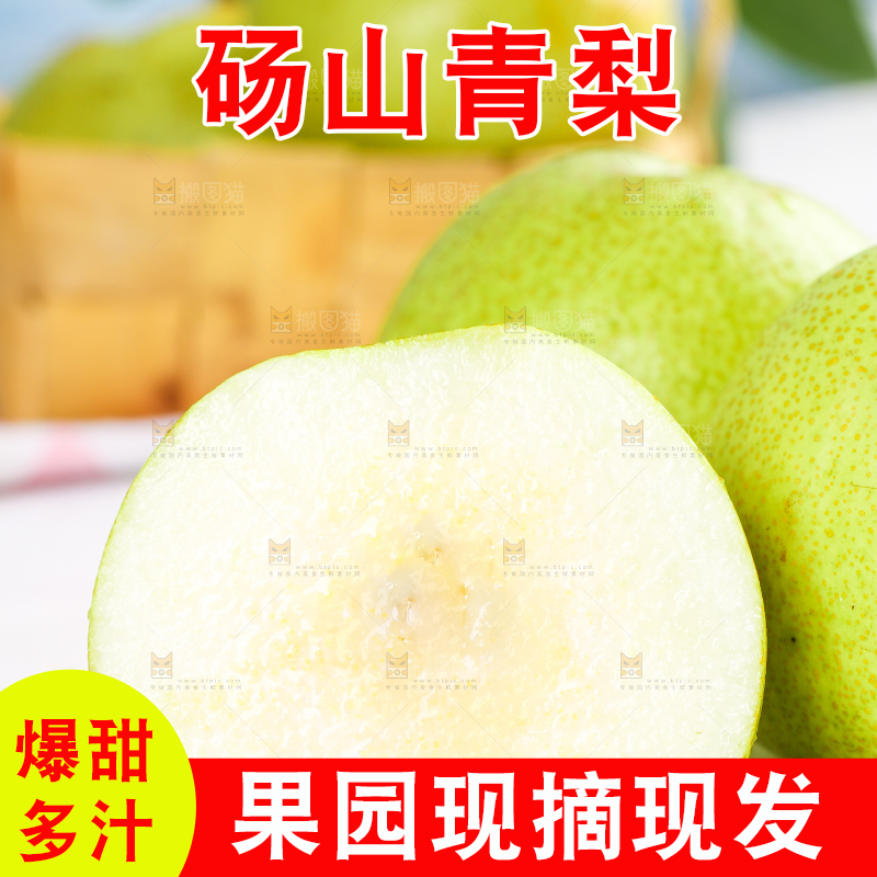 浅底上的砀山酥梨