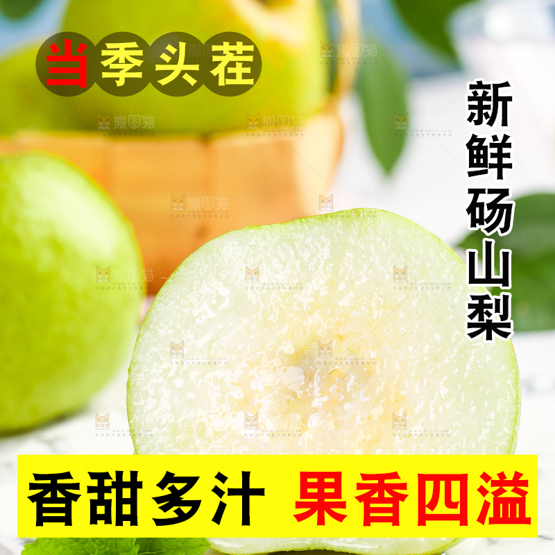 浅底上的砀山酥梨