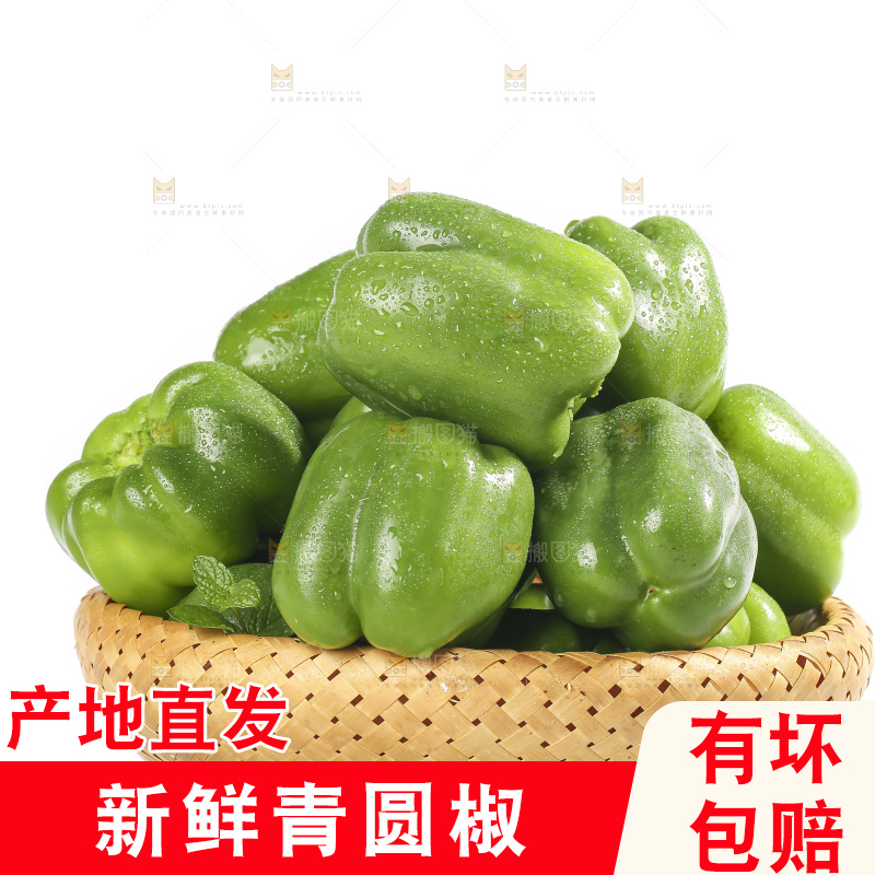 白底上的青圆椒