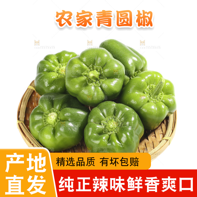 白底上的青圆椒
