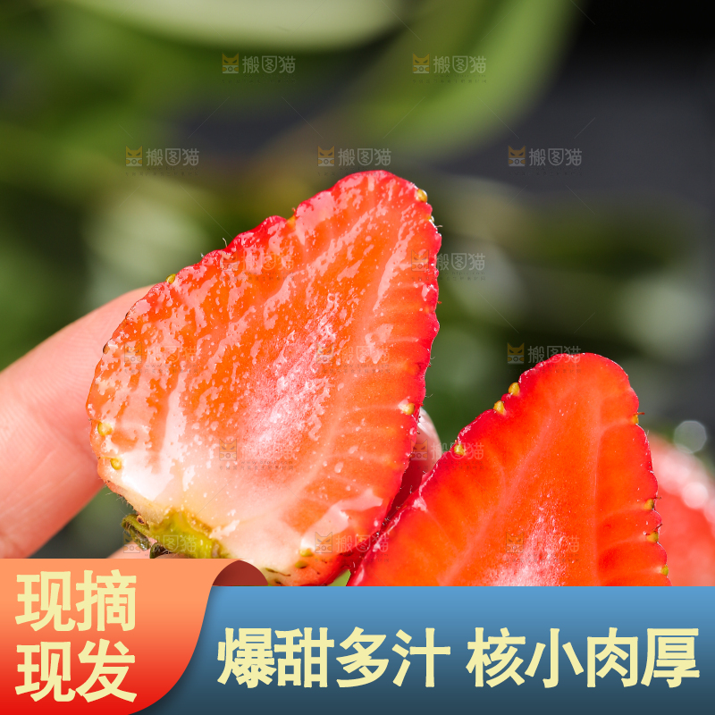 深底上的丹东草莓