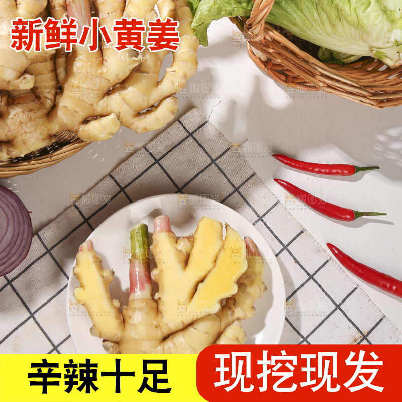 浅底上的小黄姜
