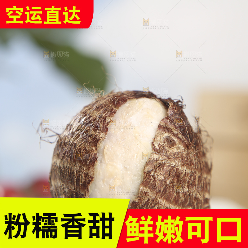 浅底上的新鲜小芋头
