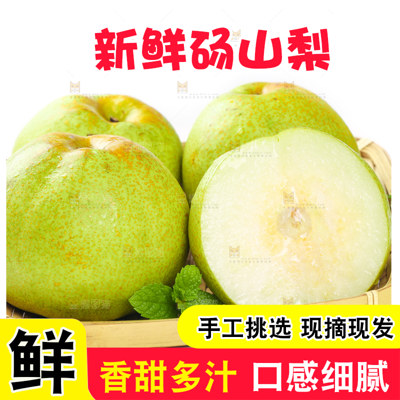 白底上的砀山梨