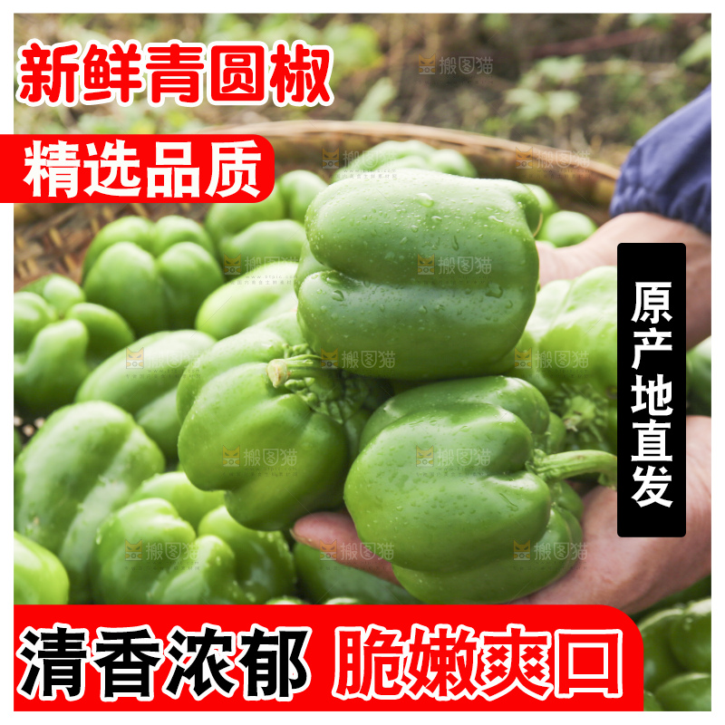 手里拿着新鲜青圆椒