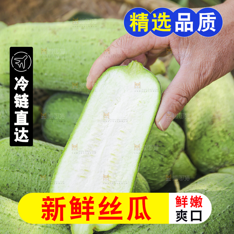 手里拿着新鲜丝瓜