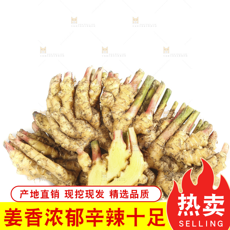 白底上的小黄姜