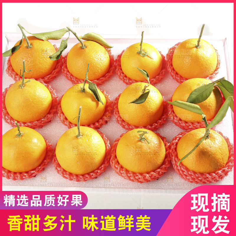 白底上的爱媛果冻橙