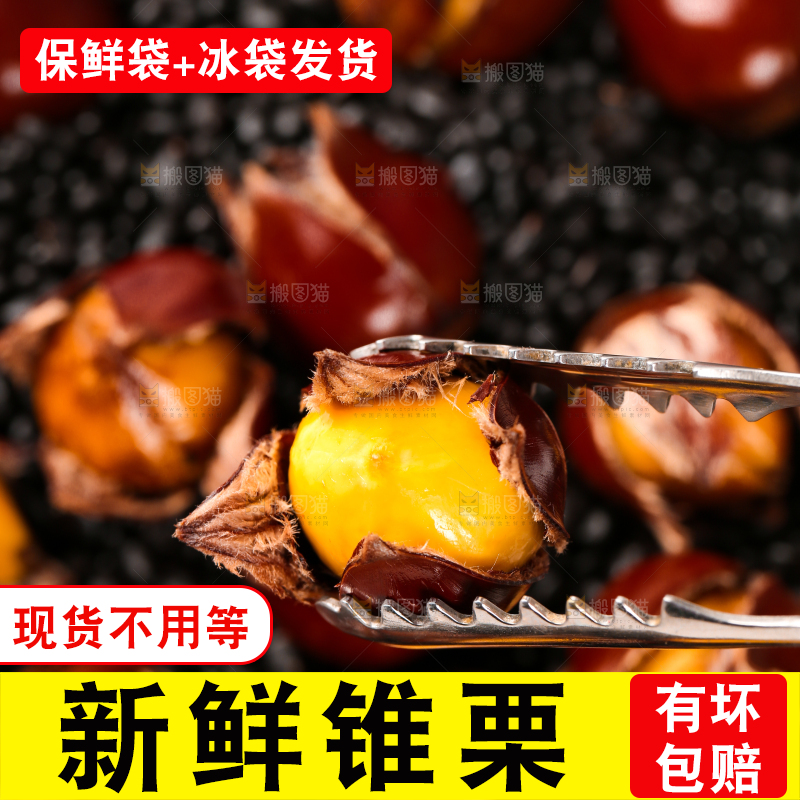 深底上的油锥栗