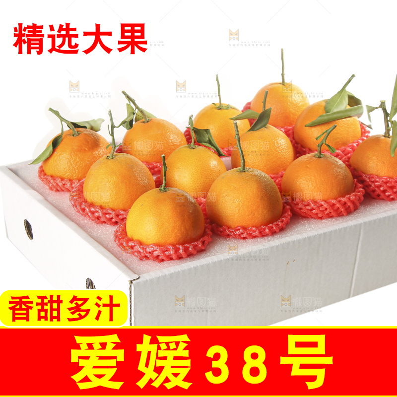 白底上的爱媛果冻橙