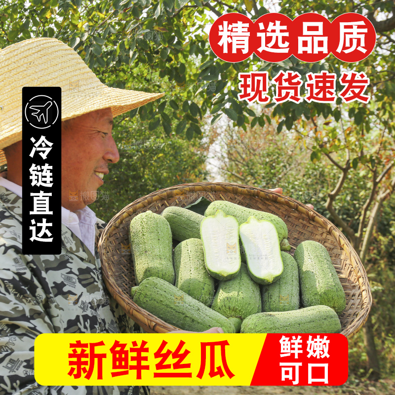 手里拿着新鲜丝瓜