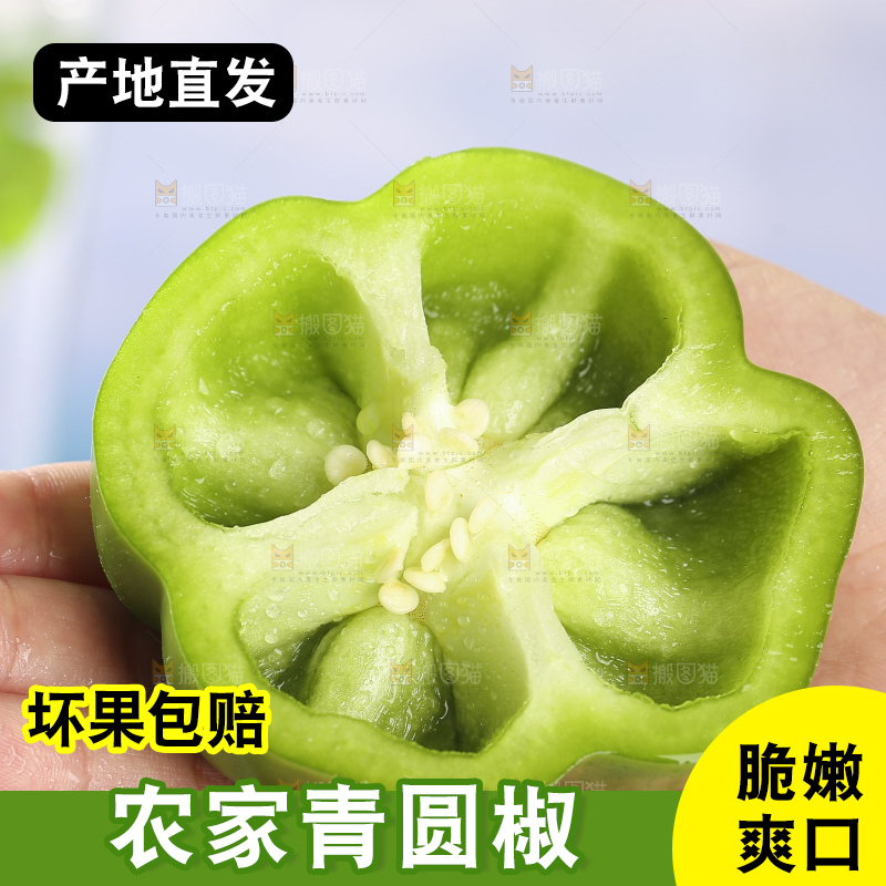 浅底上的青圆椒