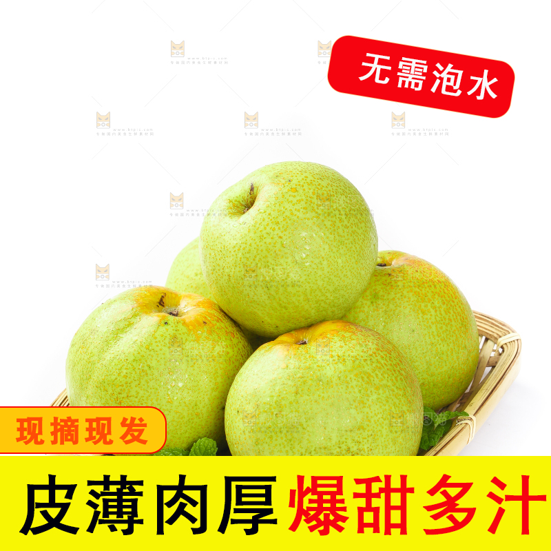 白底上的砀山梨