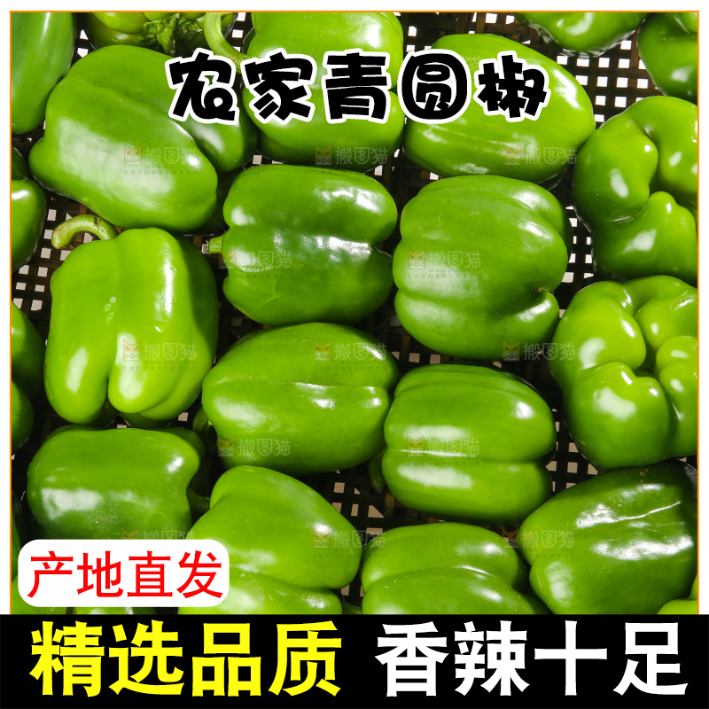 白底上的青圆椒