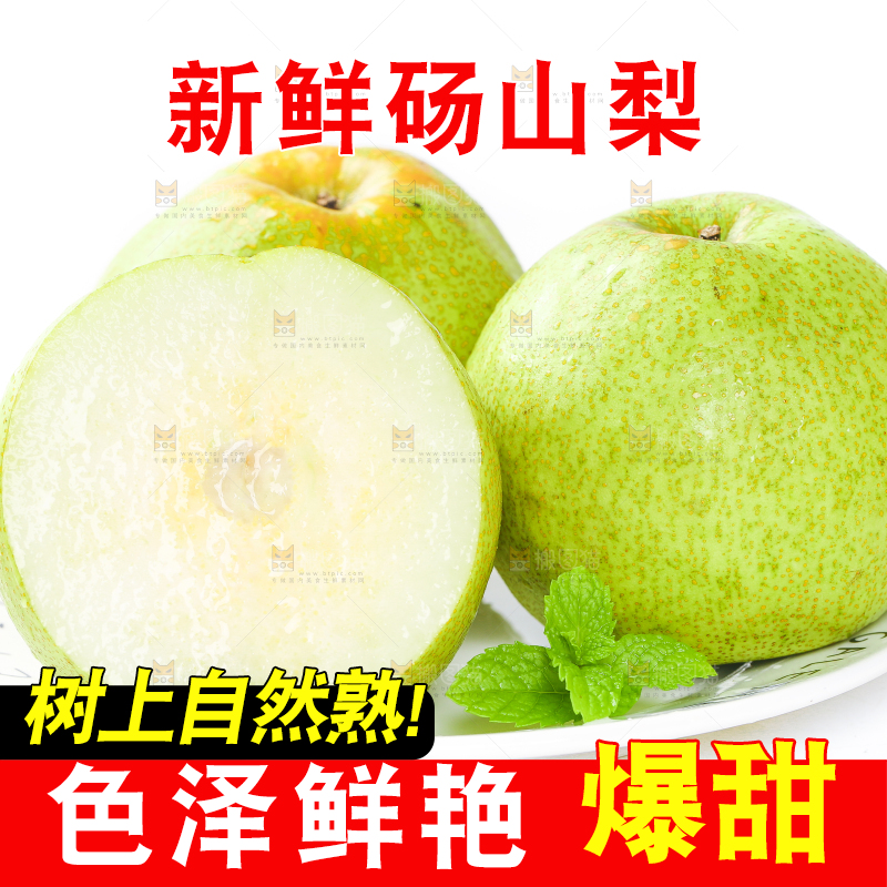 白底上的砀山梨