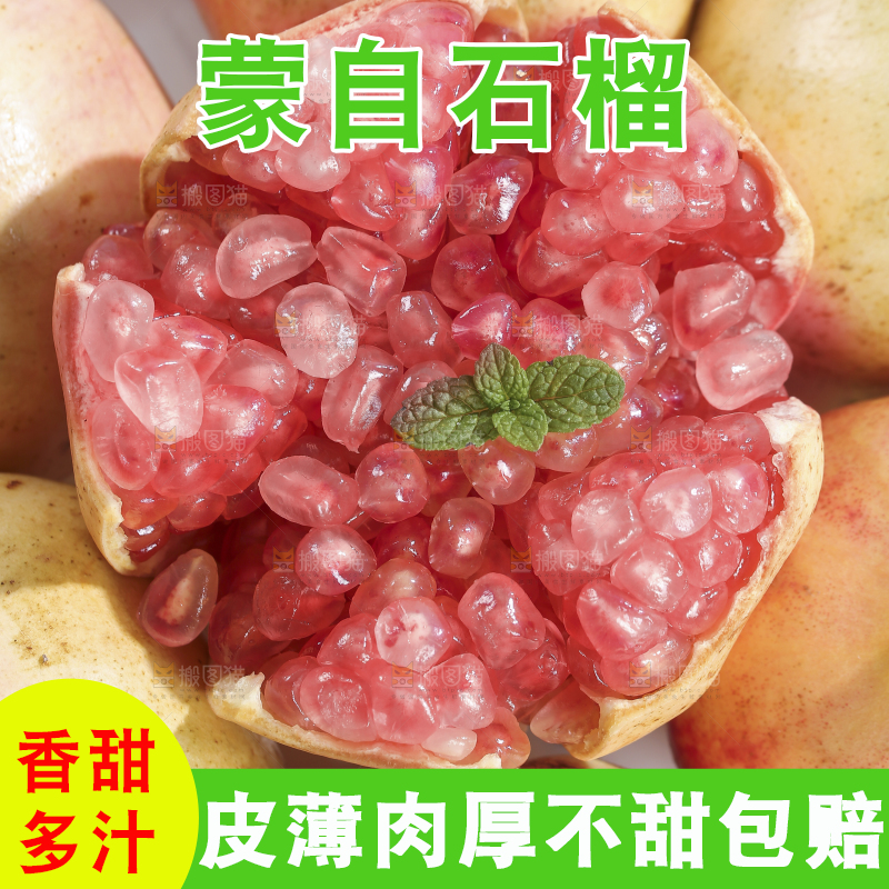 浅底上的蒙自石榴