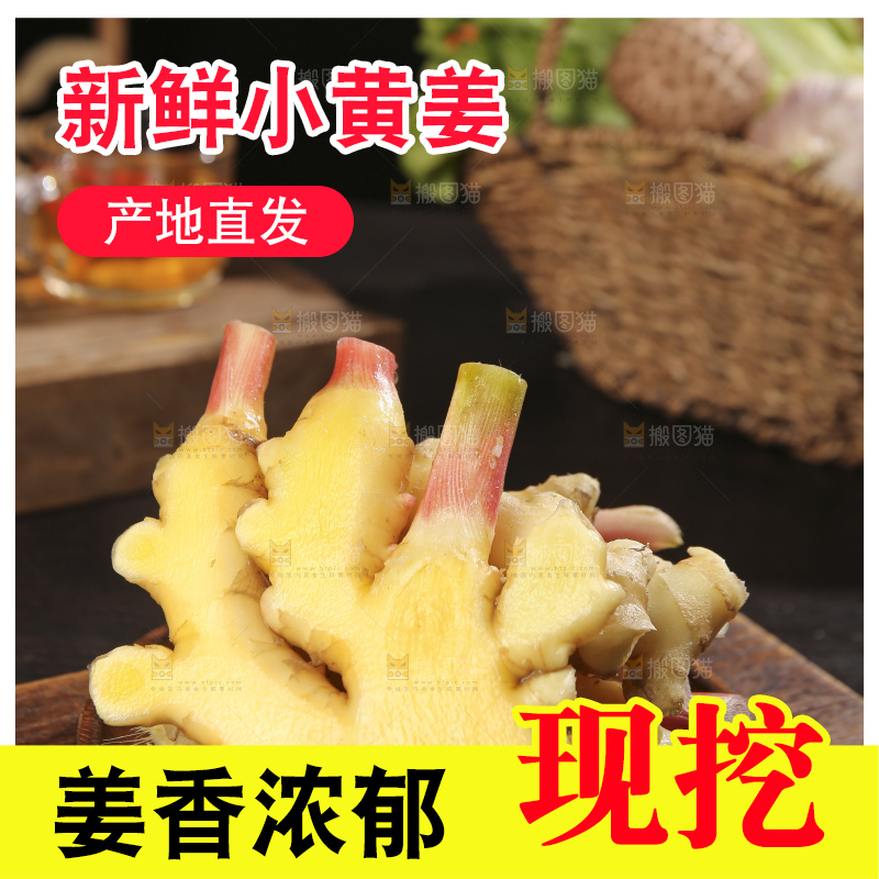 深底上的小黄姜