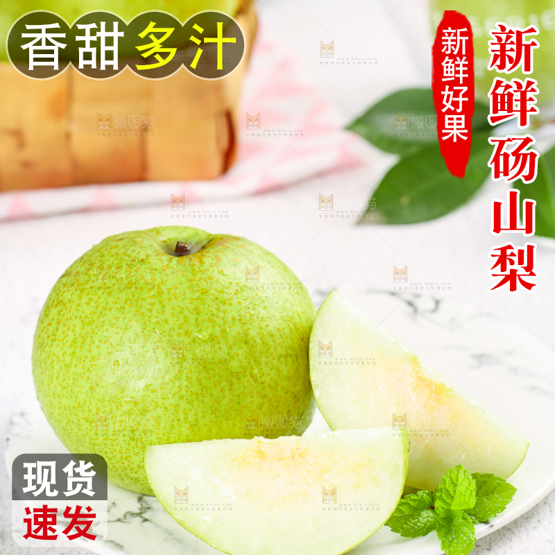 浅底上的砀山酥梨