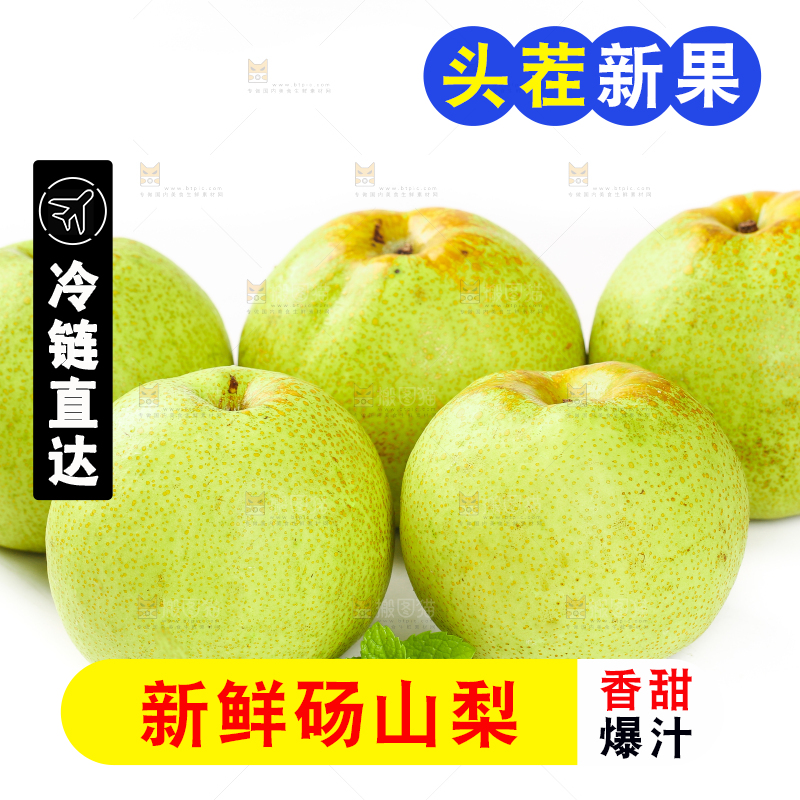 白底上的砀山梨