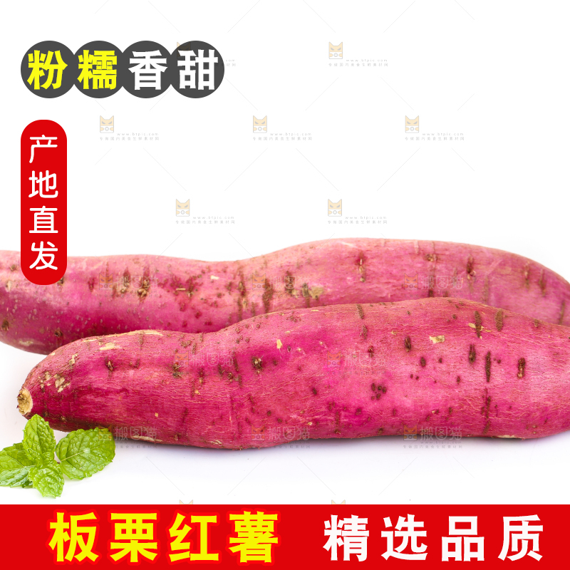 白底上的板栗红薯