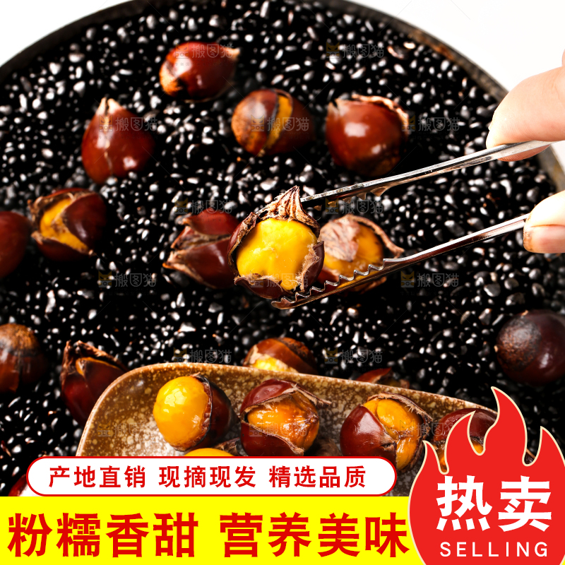 深底上的油锥栗