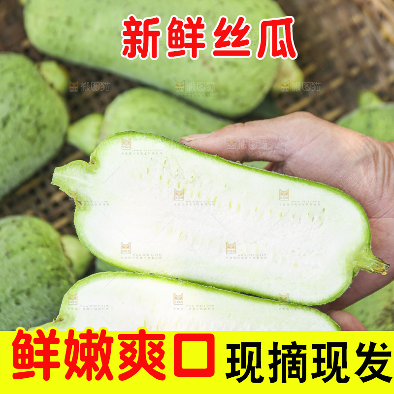 手里拿着新鲜丝瓜
