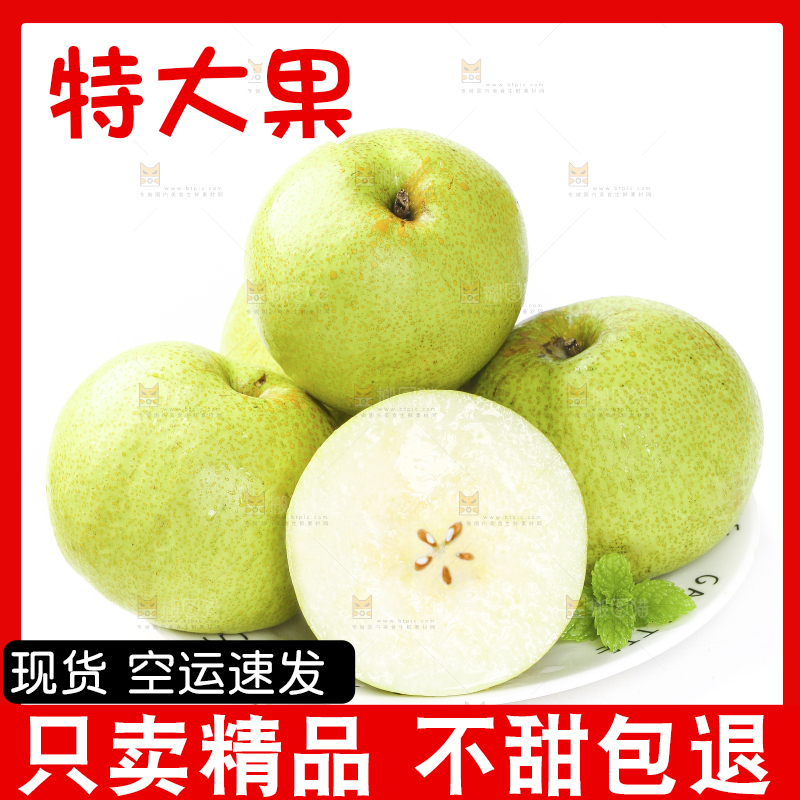 白底上的砀山梨