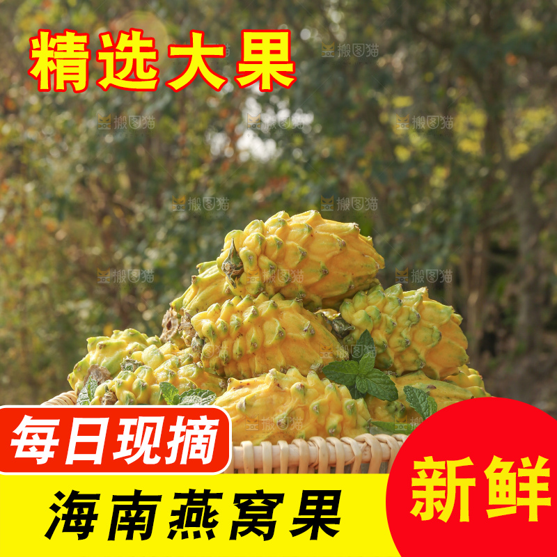 木底上的燕窝果