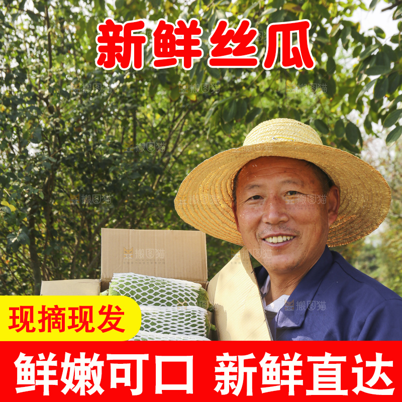 手里拿着新鲜丝瓜