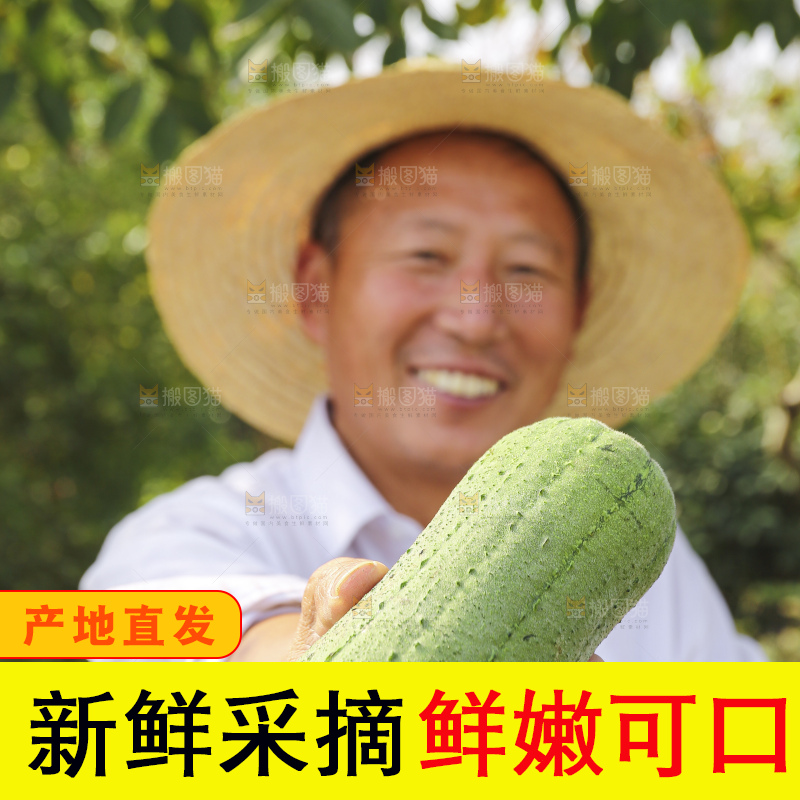 手里拿着新鲜丝瓜