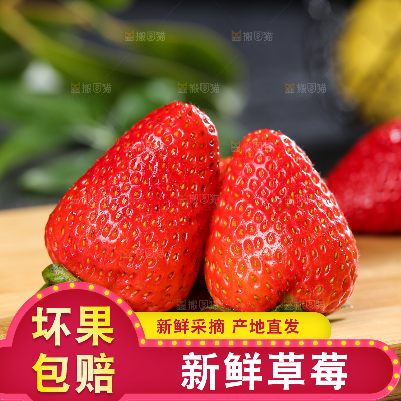 深底上的丹东草莓