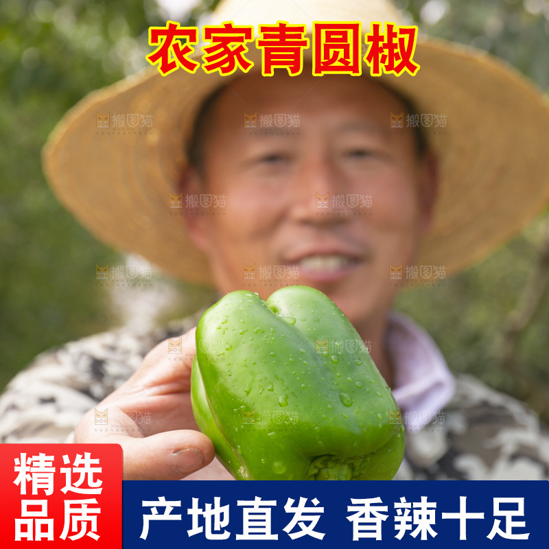 手里拿着新鲜青圆椒