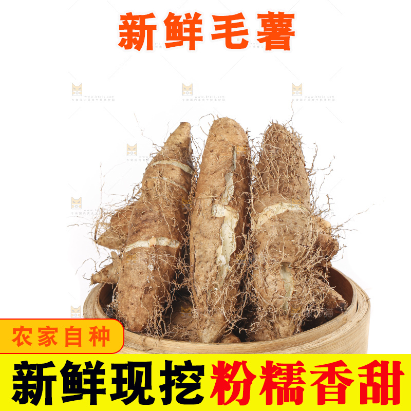 白底上的新鲜毛薯