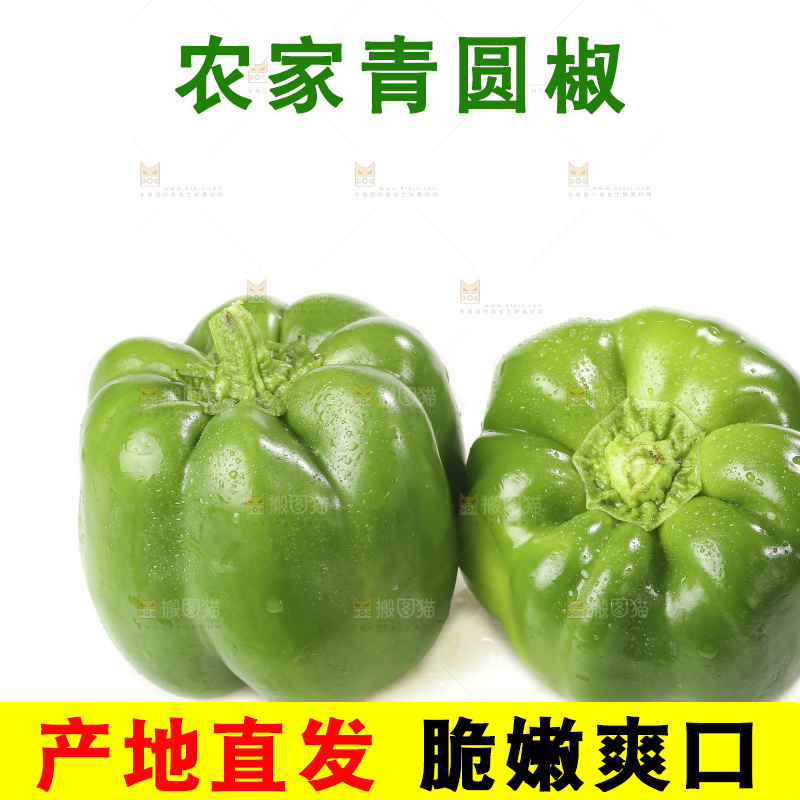 白底上的青圆椒