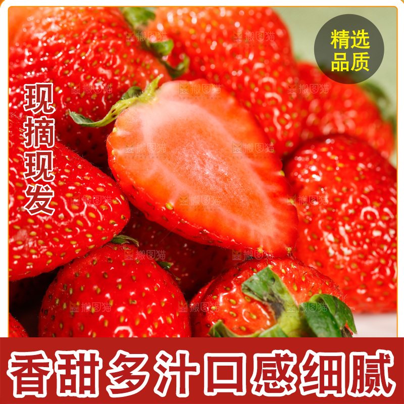 浅底上的丹东草莓