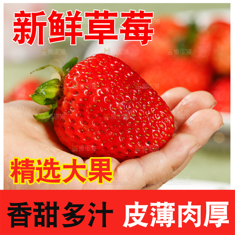 浅底上的丹东草莓