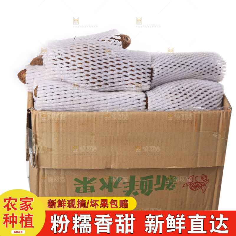 白底上的云南山药