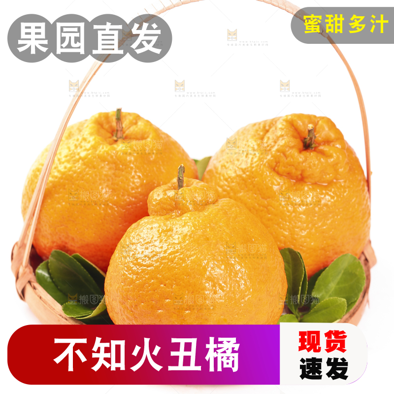 白底上的丑橘