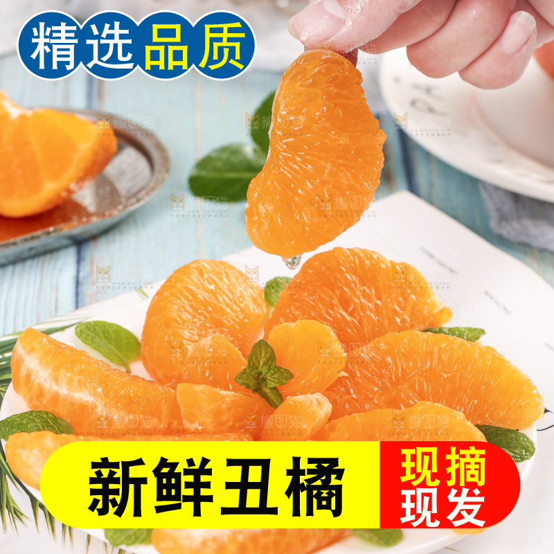 浅底上的丑八怪