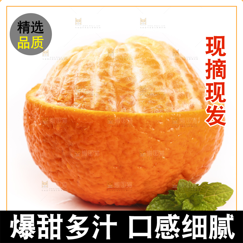 白底上的丑橘