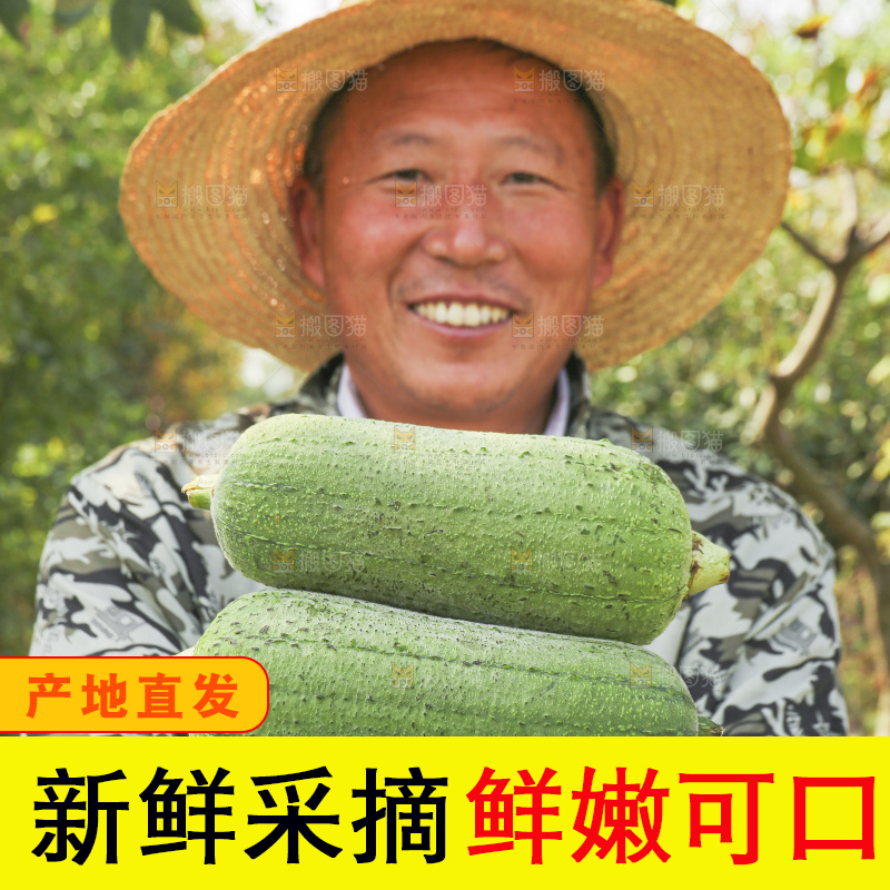 手里拿着新鲜丝瓜