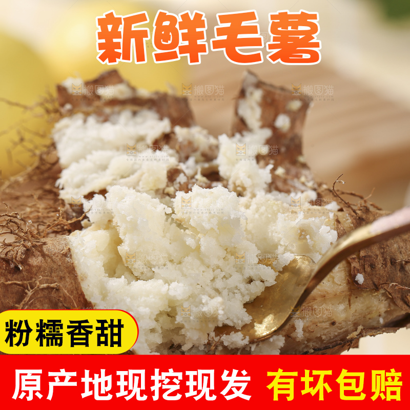浅底上的新鲜毛薯