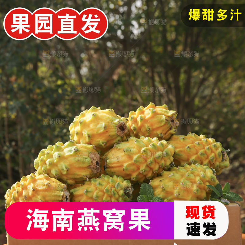 木底上的燕窝果