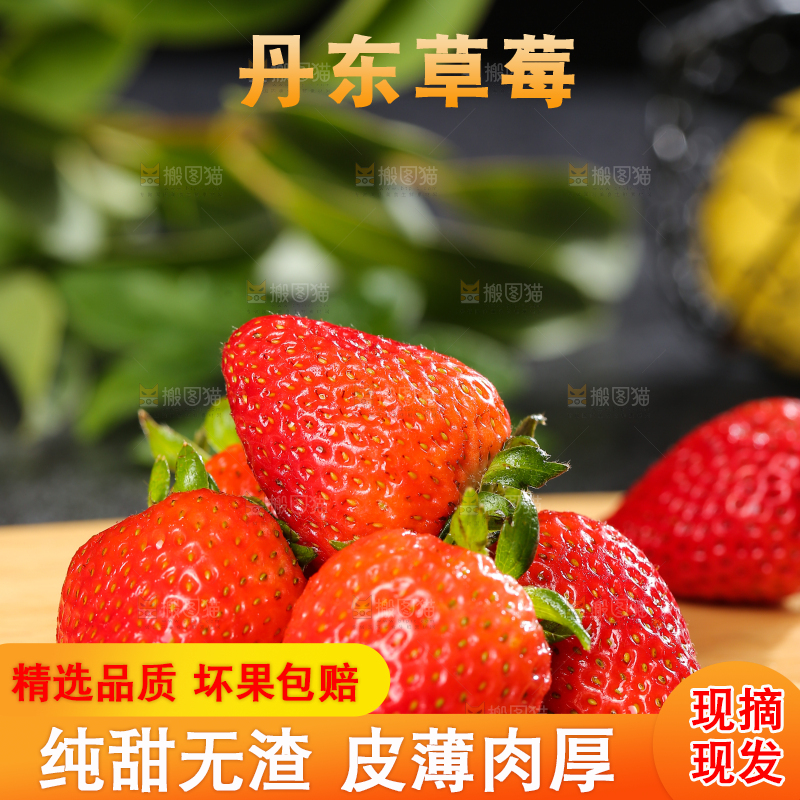 深底上的丹东草莓