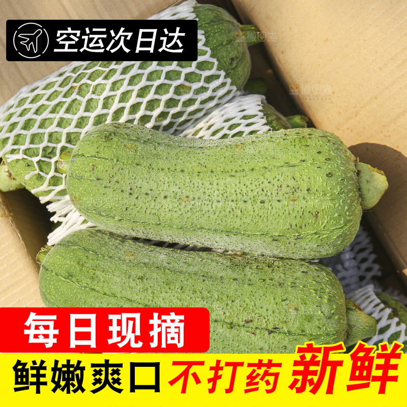 手里拿着新鲜丝瓜