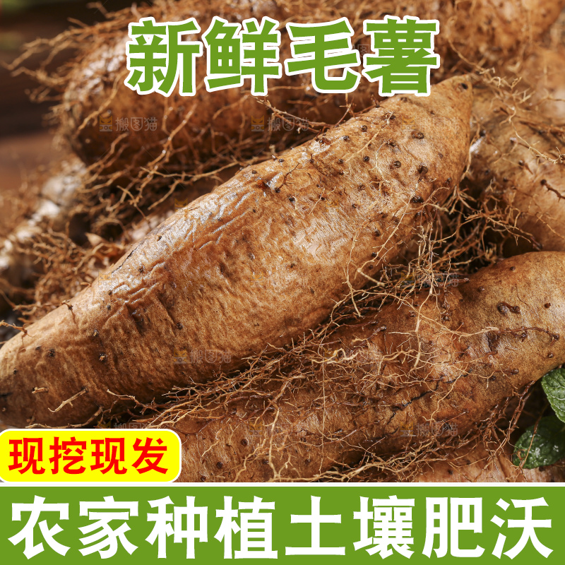 深底上的新鲜毛薯