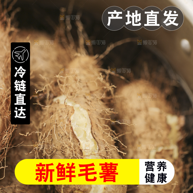 锅里蒸熟的毛薯