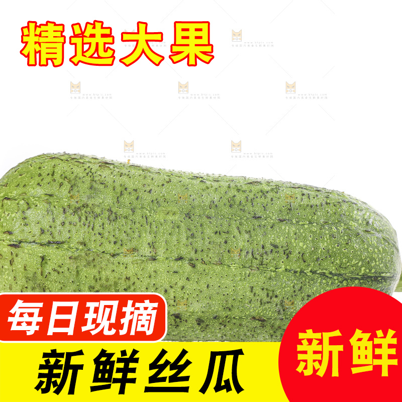 白底上的肉丝瓜