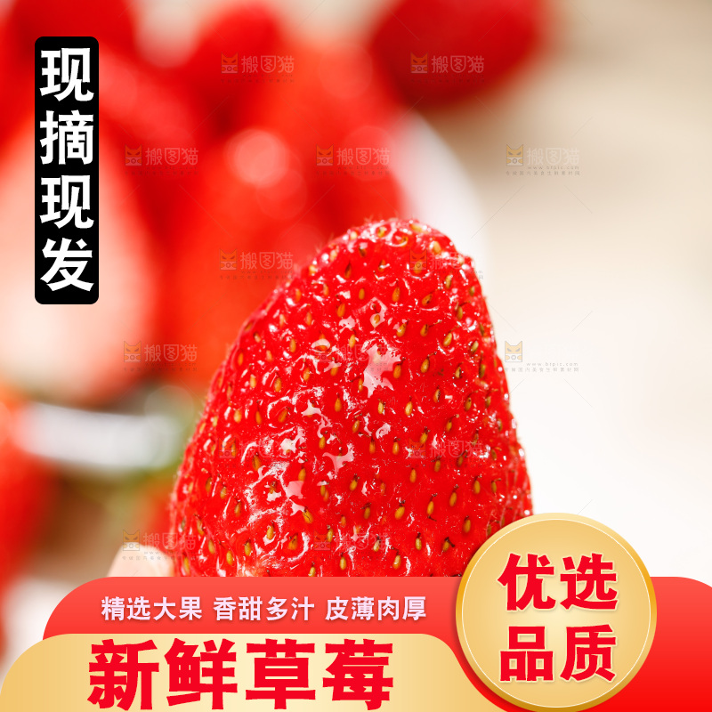 浅底上的丹东草莓